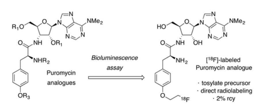 Taken from: Betts et al, J. Med. Chem, 2016, 59(20), 9422