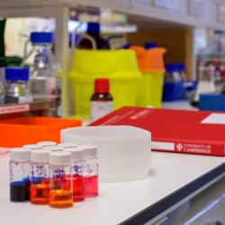 Lab_Bottles