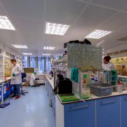 Lab_WS_SKandMH
